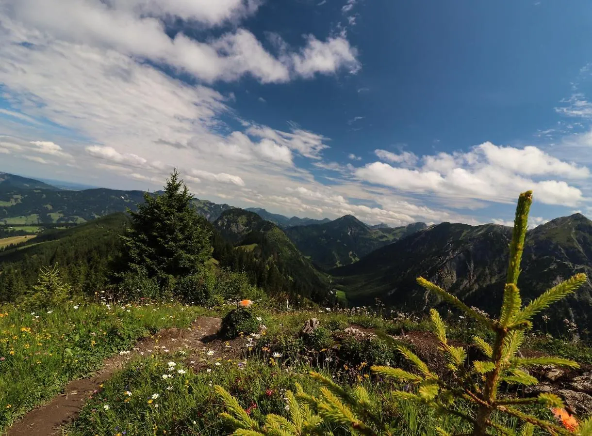 Moderne, 1-Zimmer Ferienwohnung Mit Bergblick Oy-Mittelberg 0*,