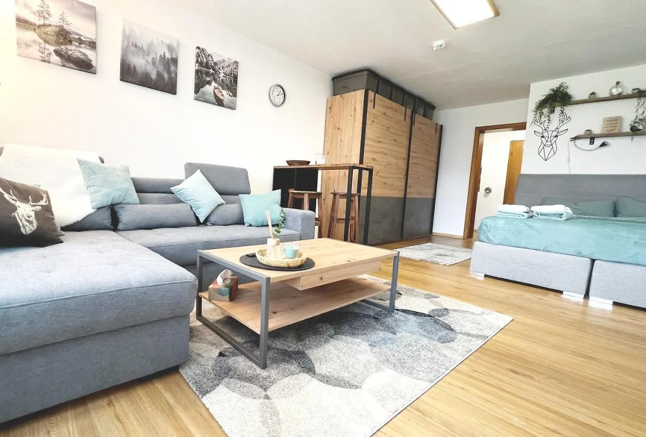 Moderne, 1-Zimmer Ferienwohnung Mit Bergblick Oy-Mittelberg